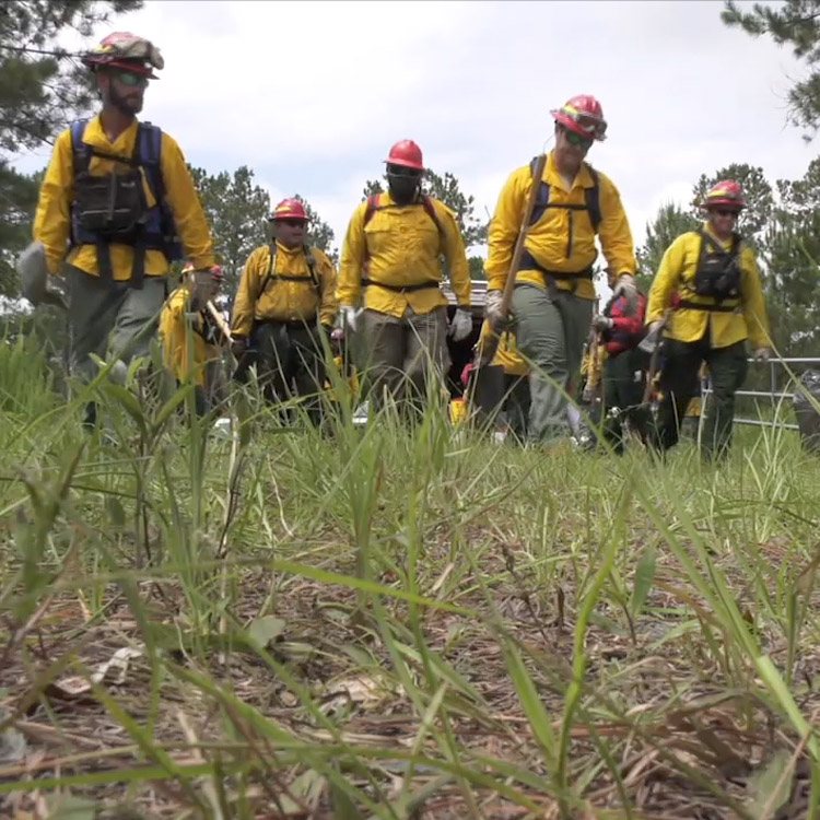 Georgia Forestry Commission rangers train hard to fight fires and protect property