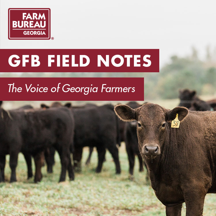 GFB Newsletter gets new name, new online look