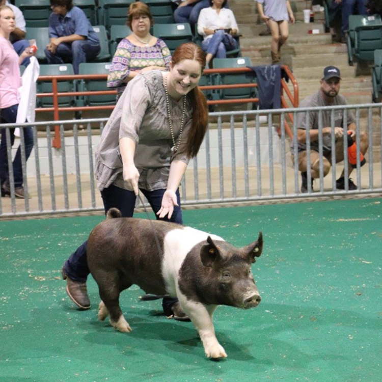 Meet Brittany Braddy, FFA Central Region State Vice President