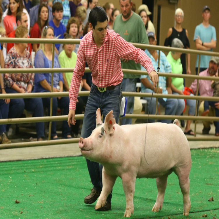 Meet Clay Parker, State FFA Secretary