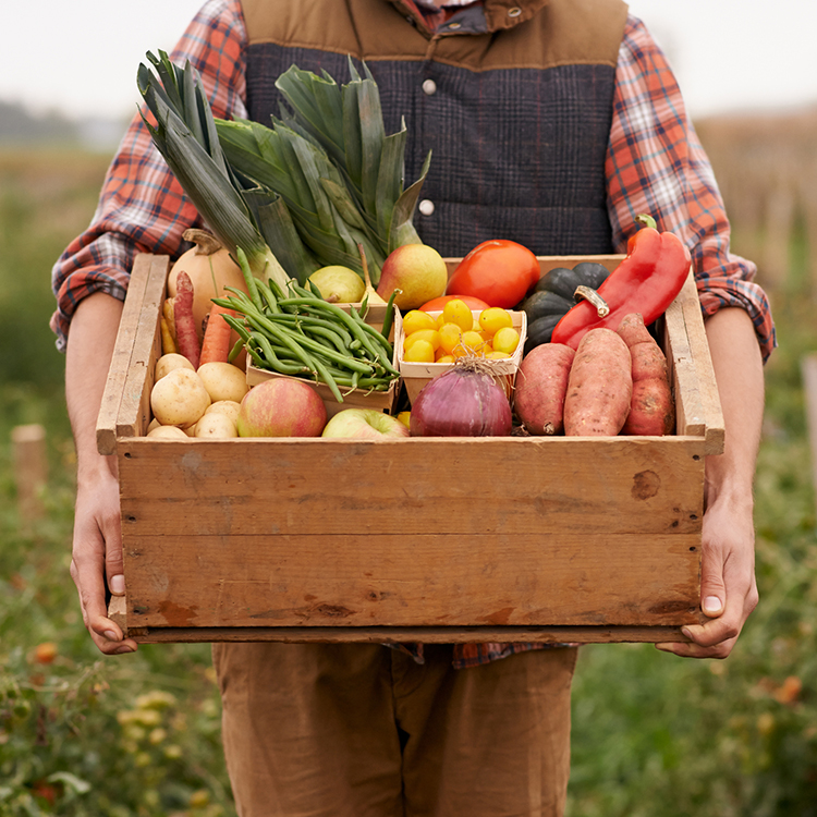 Georgia Harvest Calendar