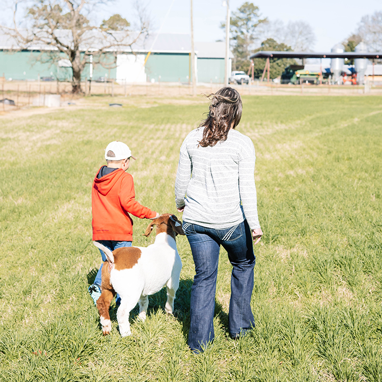 Promoting agriculture through education