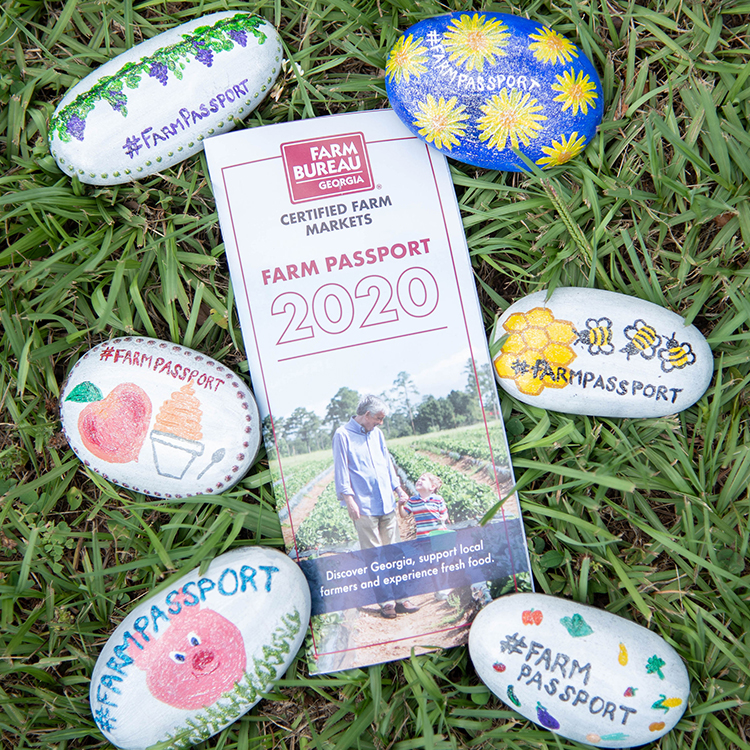 The Farm Passport Rock Hunt