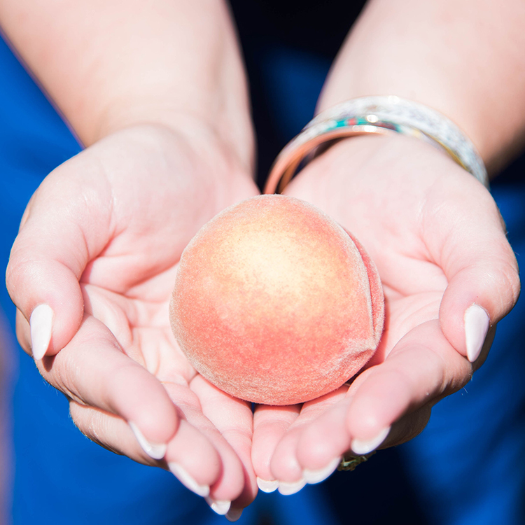 One Family Shares Their Peach Farm Route