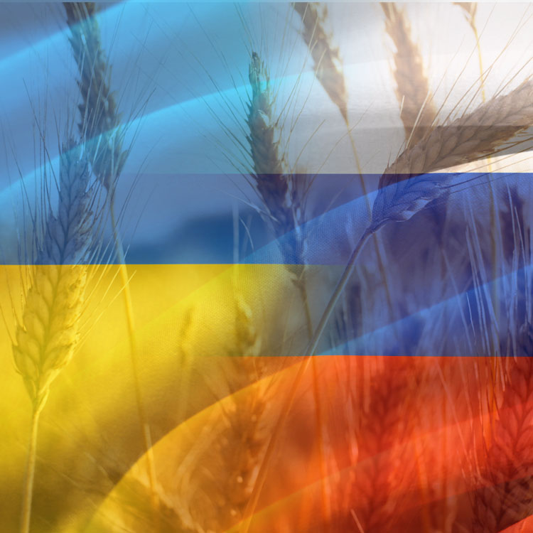 Russia-Ukraine Conflict impacts agriculture worldwide
