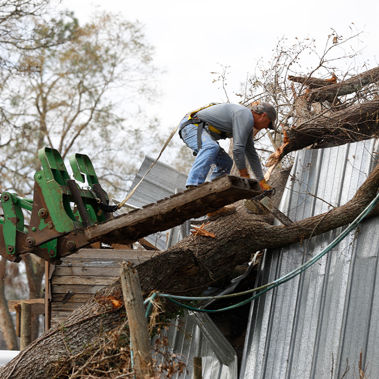 USDA Provides Assistance in Wake of Disasters
