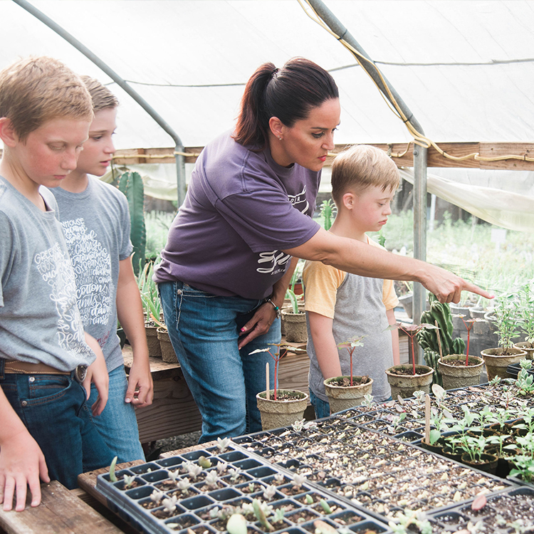 Teaching about agriculture is as easy as A B C