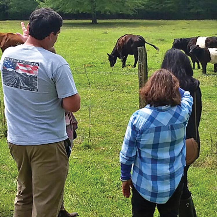 Ag Educator Workshops show teachers how to meet STEM requirements using ag