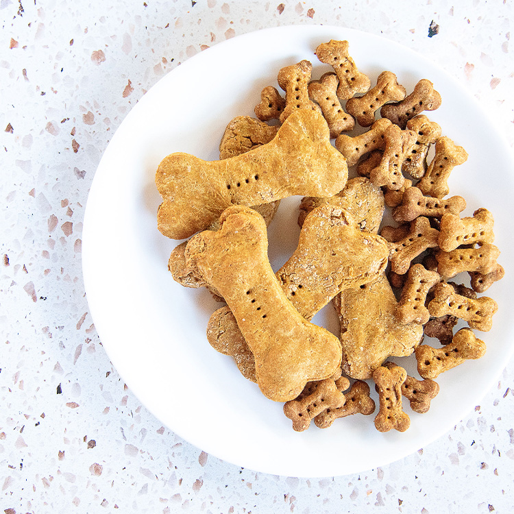 Mommy and Me: Pumpkin Dog Treats