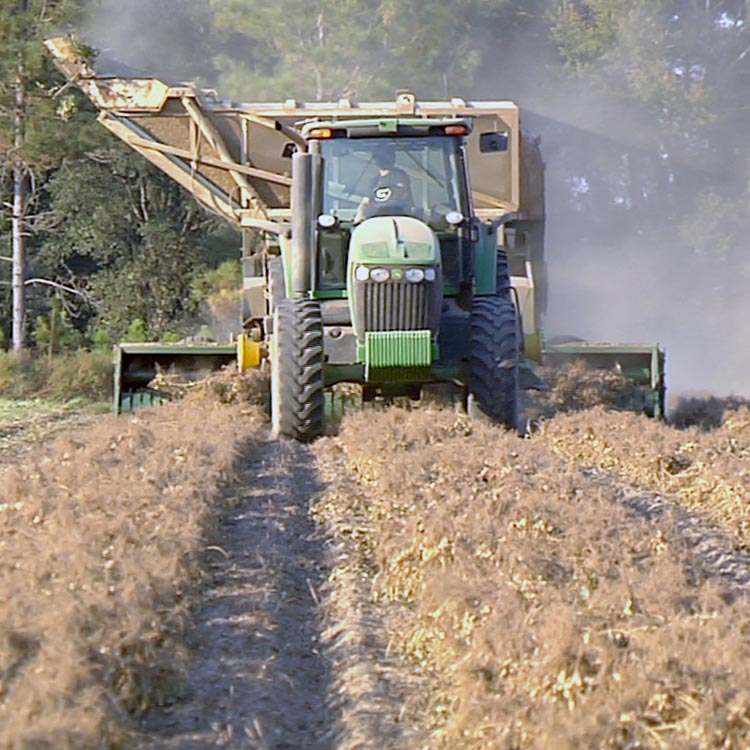 Transparency on the Farm