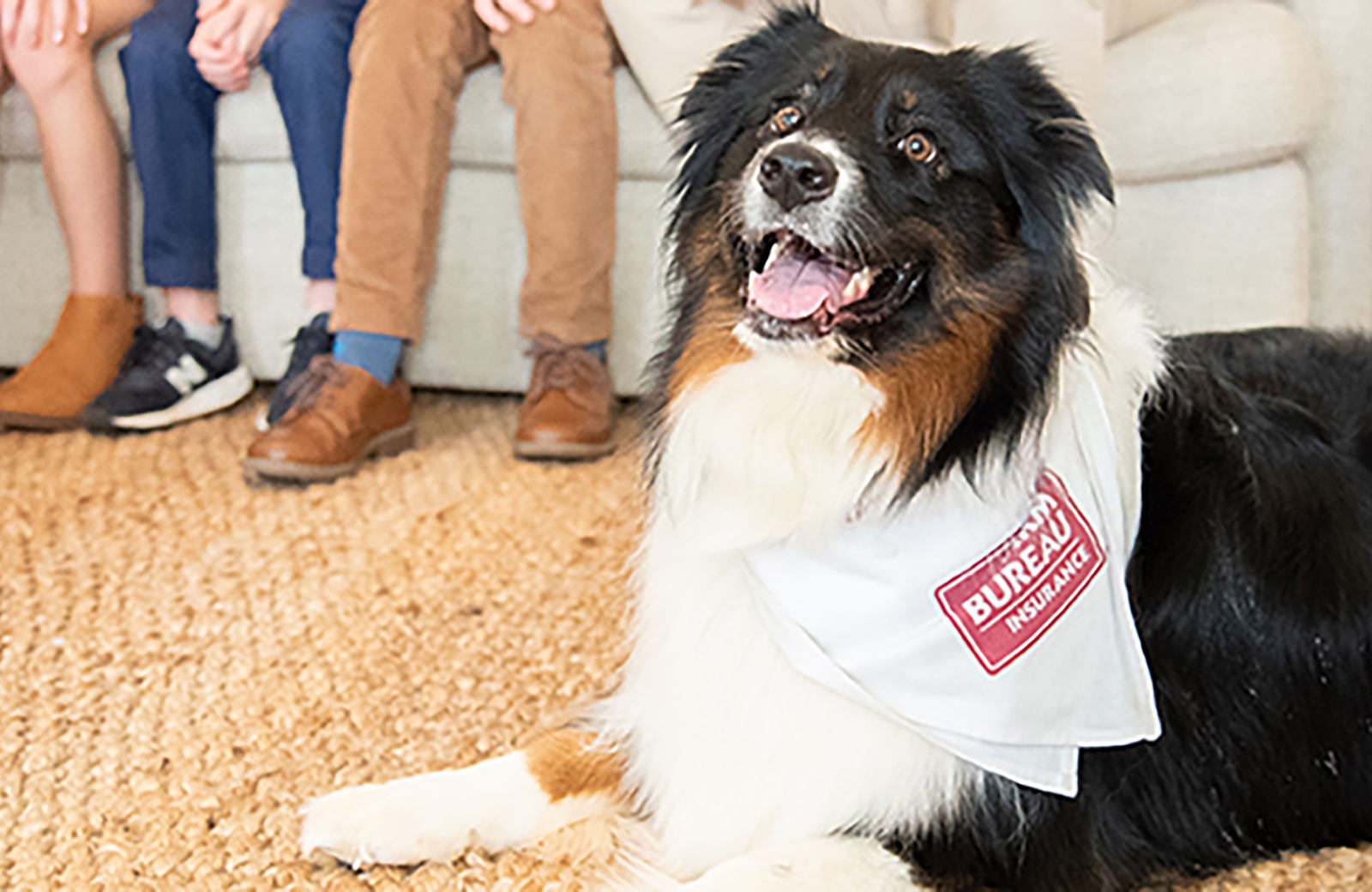 Lucky the Dog and Georgia Farm Bureau Insurance