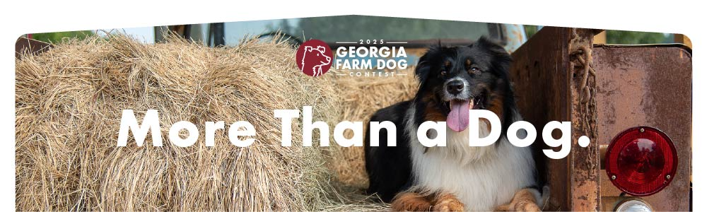 2025 Farm Dog Contest Banner