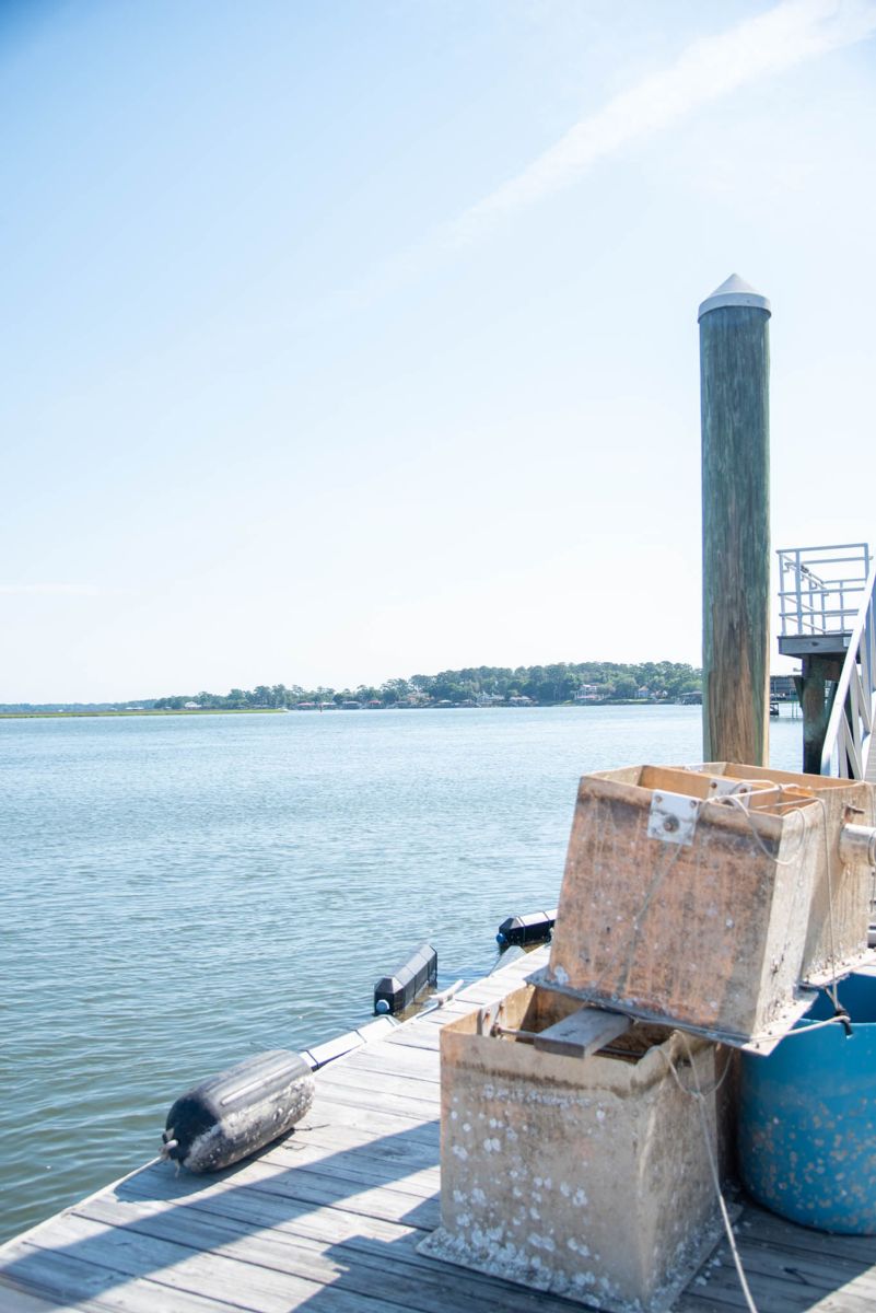 Shellfish Research Lab helps Georgia make strides in oyster aquaculture 