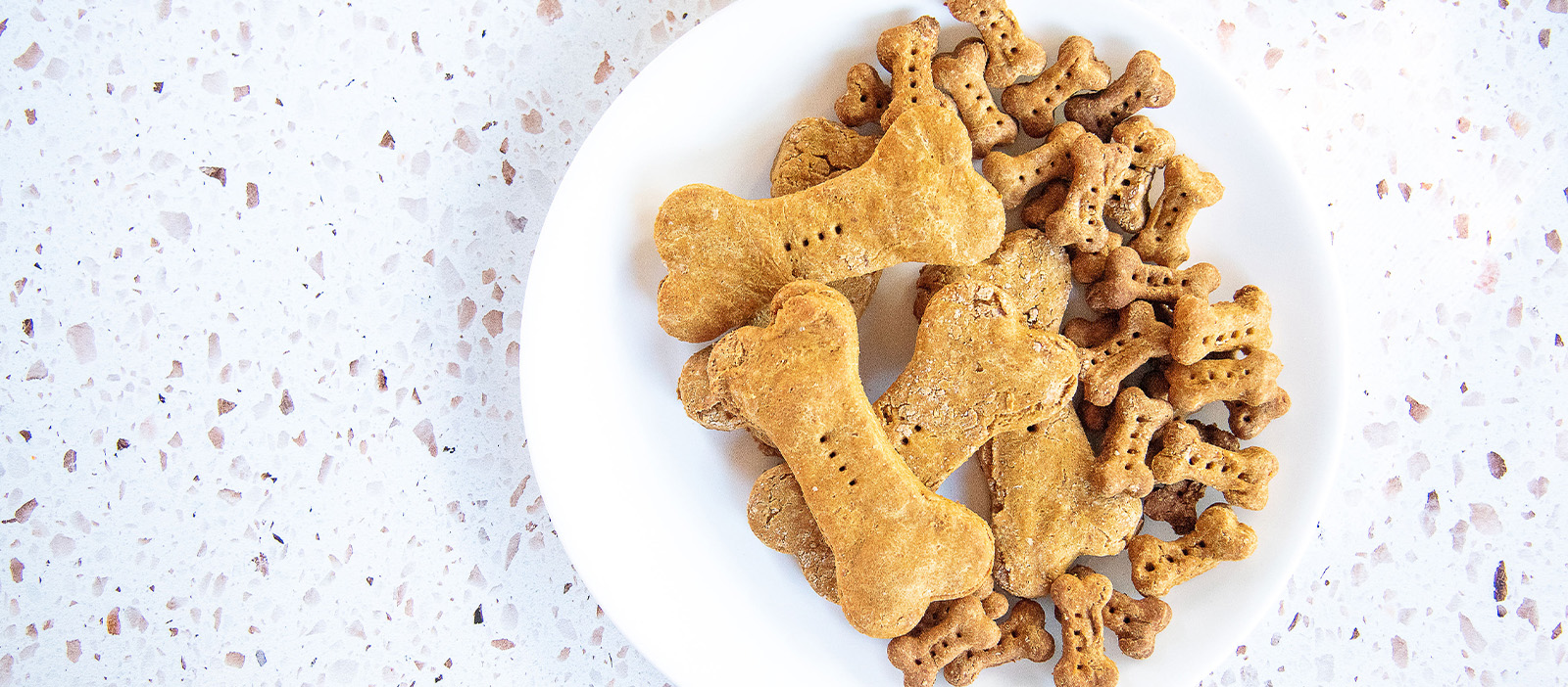 Mommy and Me: Pumpkin Dog Treats