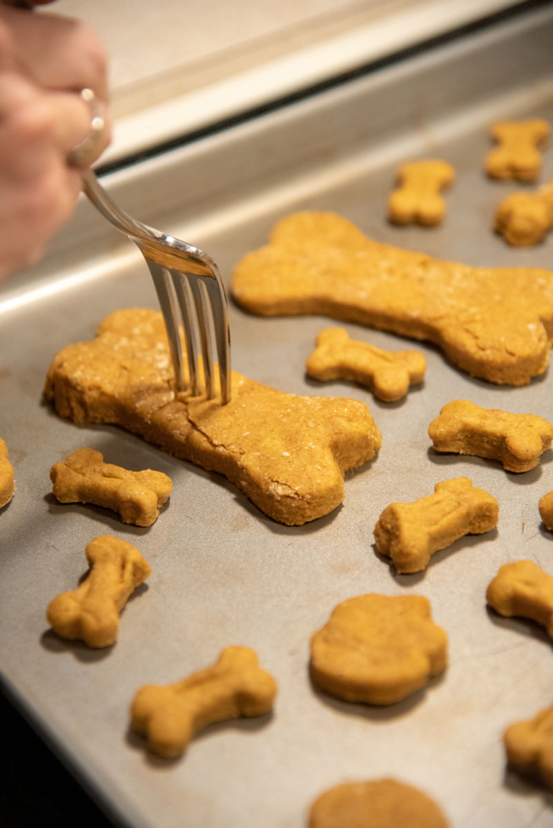 Mommy and Me: Pumpkin Dog Treats