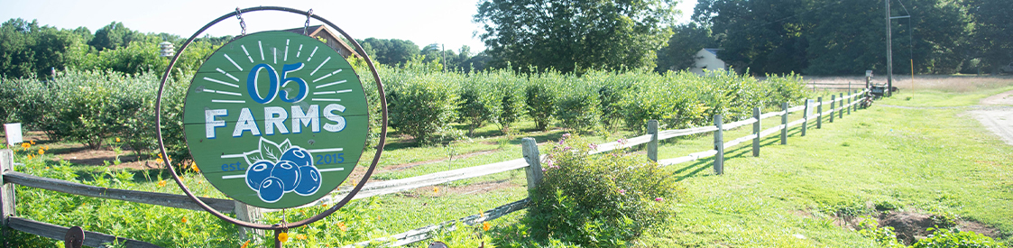 •	Line up a photo shoot at O5 Farms to have beautiful family photos & a farm experience to recall for years 