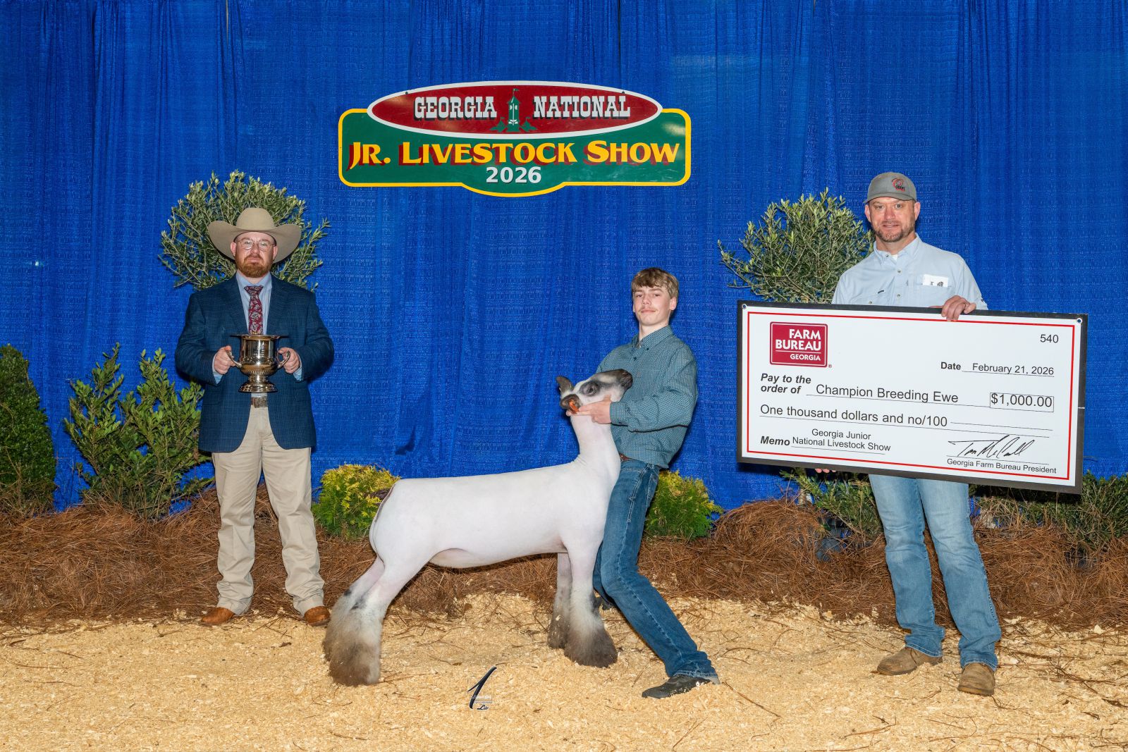 Teenage boy shows lamb while accepting award trophy from show judge and prize check from award sponsor.