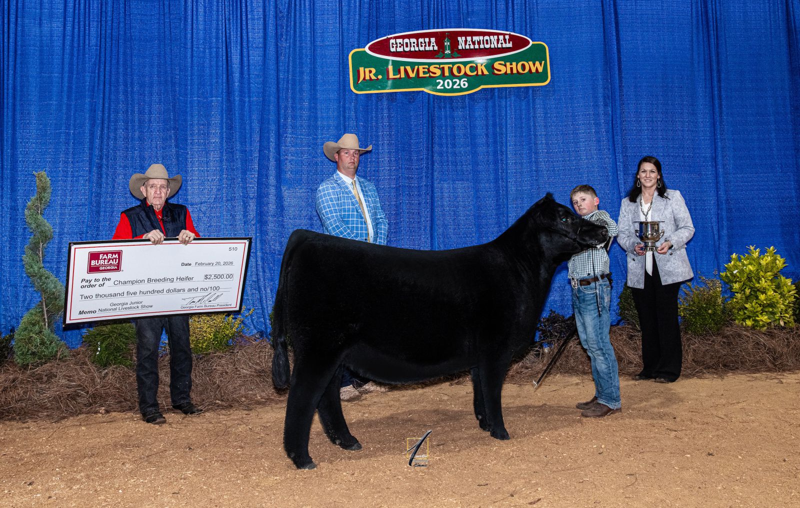 Preteen boy shows solid black beef heifer as man on far left presents award check and a male and female judge, presenting trophy, offer congratulations.  