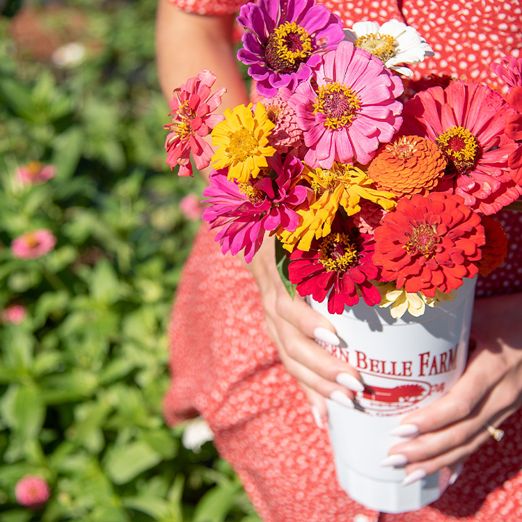 U-Pick Flowers from Certified Farm Market