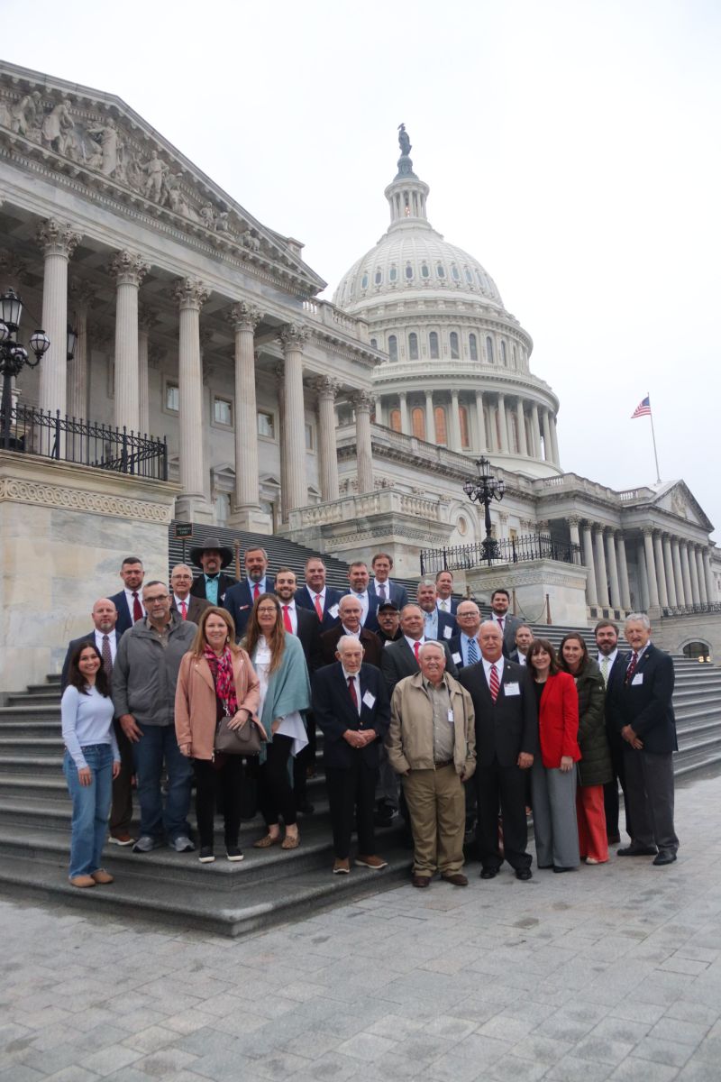A group of 29 people posing on the steps of the U.S. Capitol building.