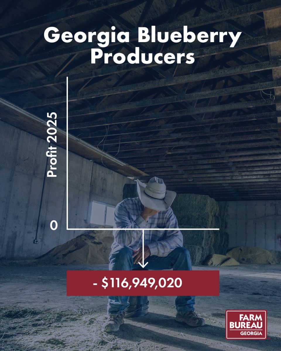 Blueberry producer loss in 2025