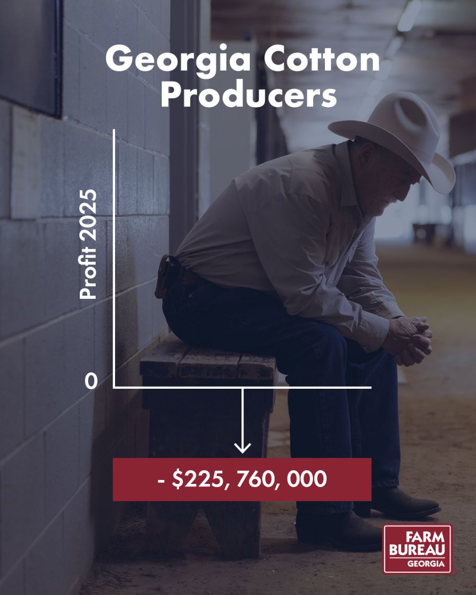 Cotton Producers loss in 2025