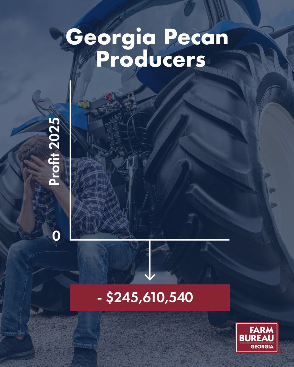 Pecan producers profit loss in 2025