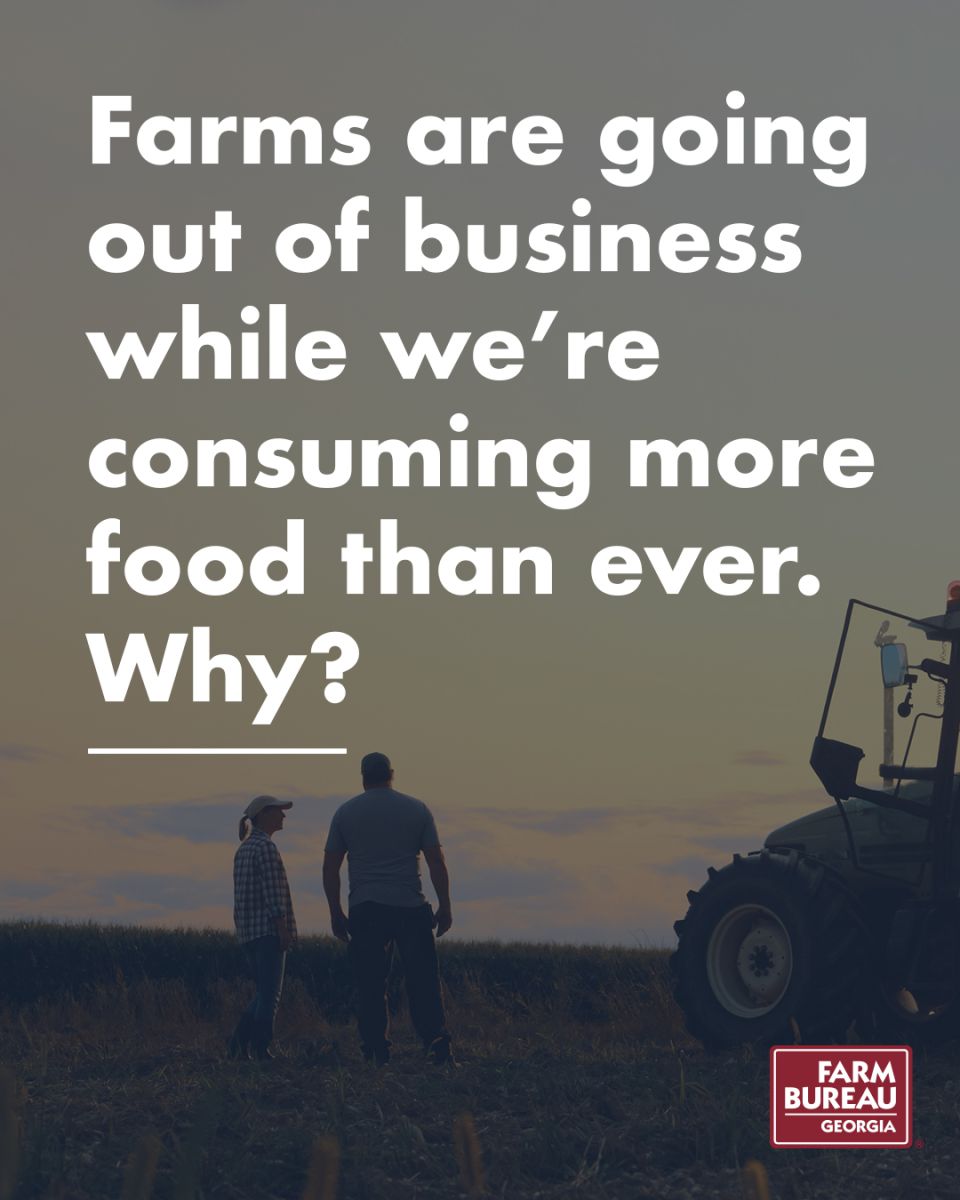 farms are going out of business while we're eating more than ever. why