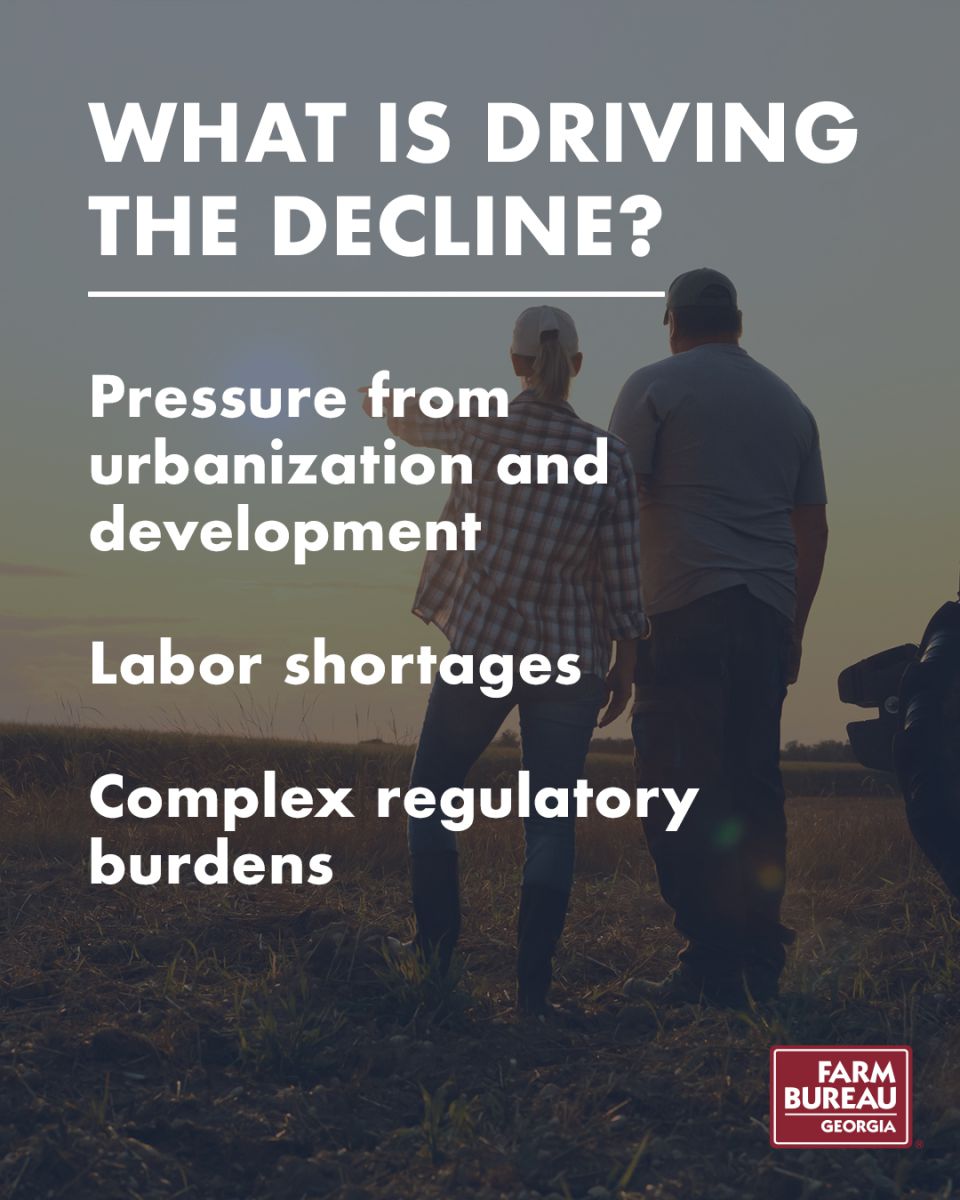 what is driving the decline of farms - 2