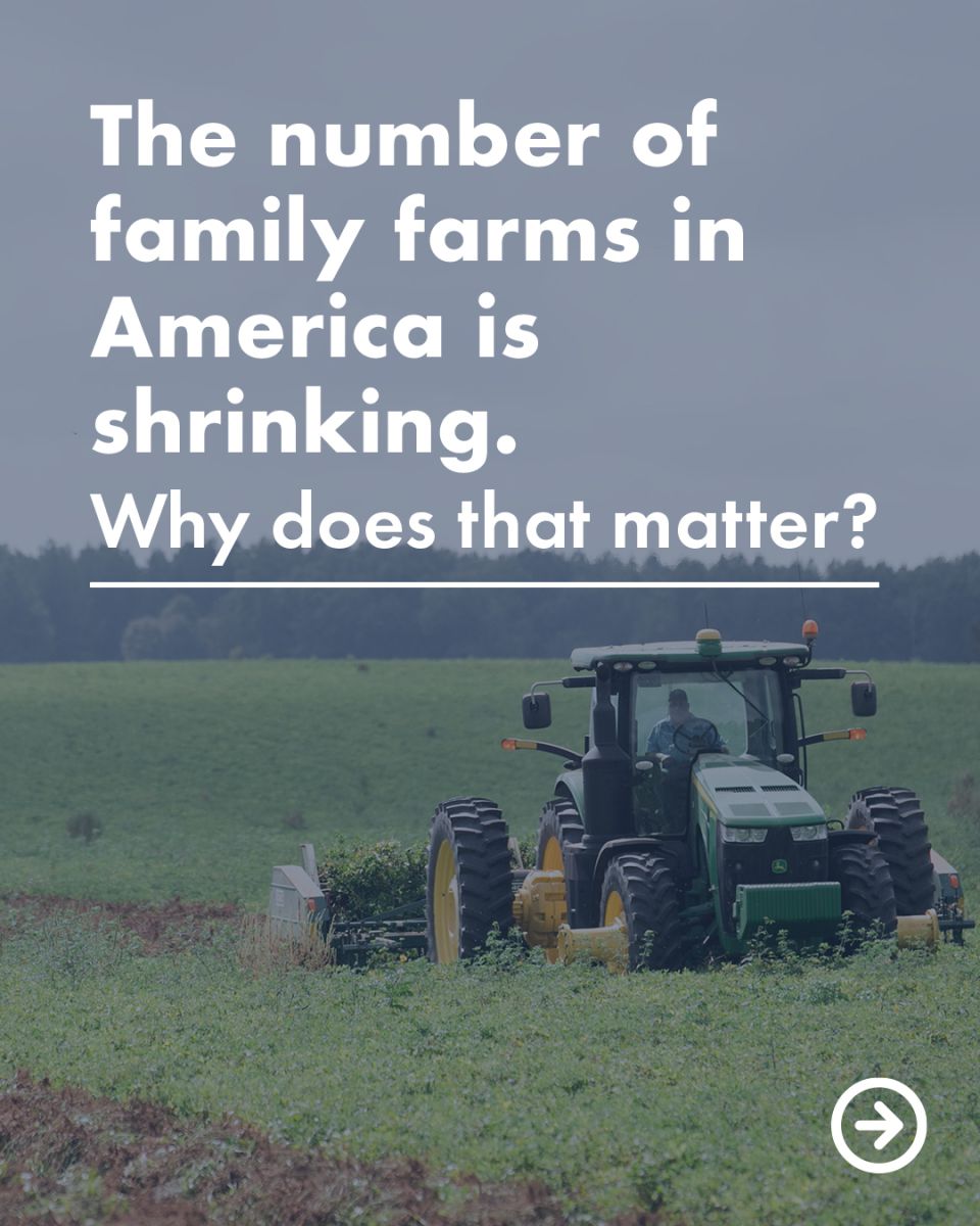 Family farms are shrinking - why does it matter