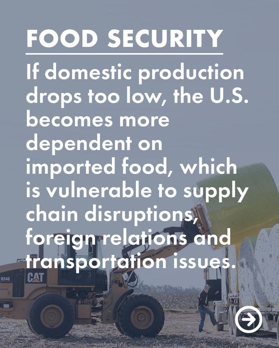 If family farms continue to shrink we could face food security issues