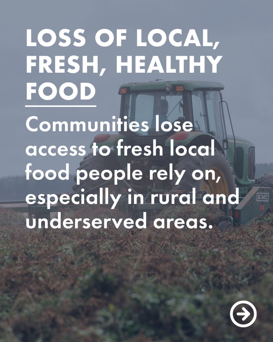 If family farms continue to shrink we could face the loss of local fresh and healthy food