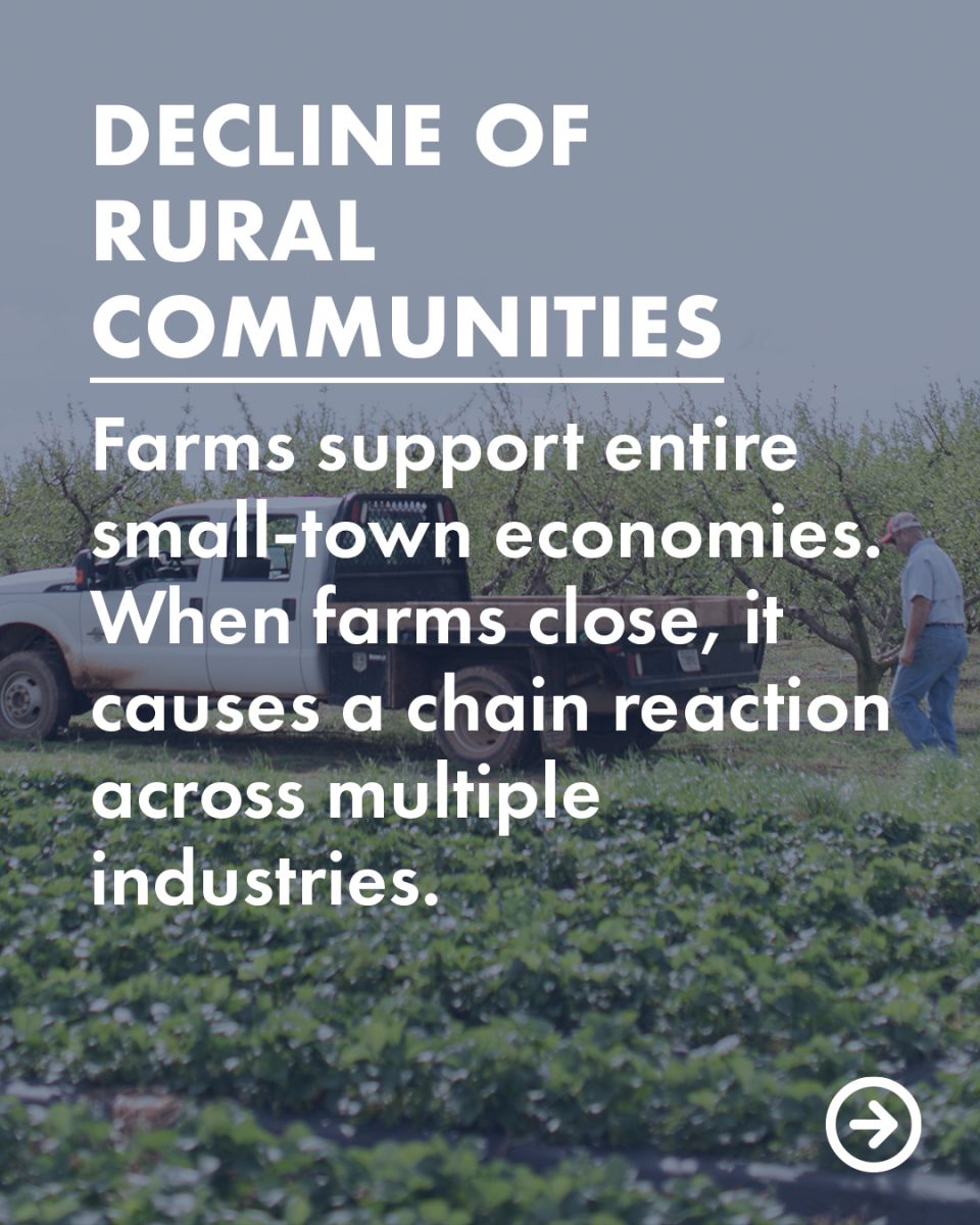 If family farms continue to shrink we could face a decline of rural communities
