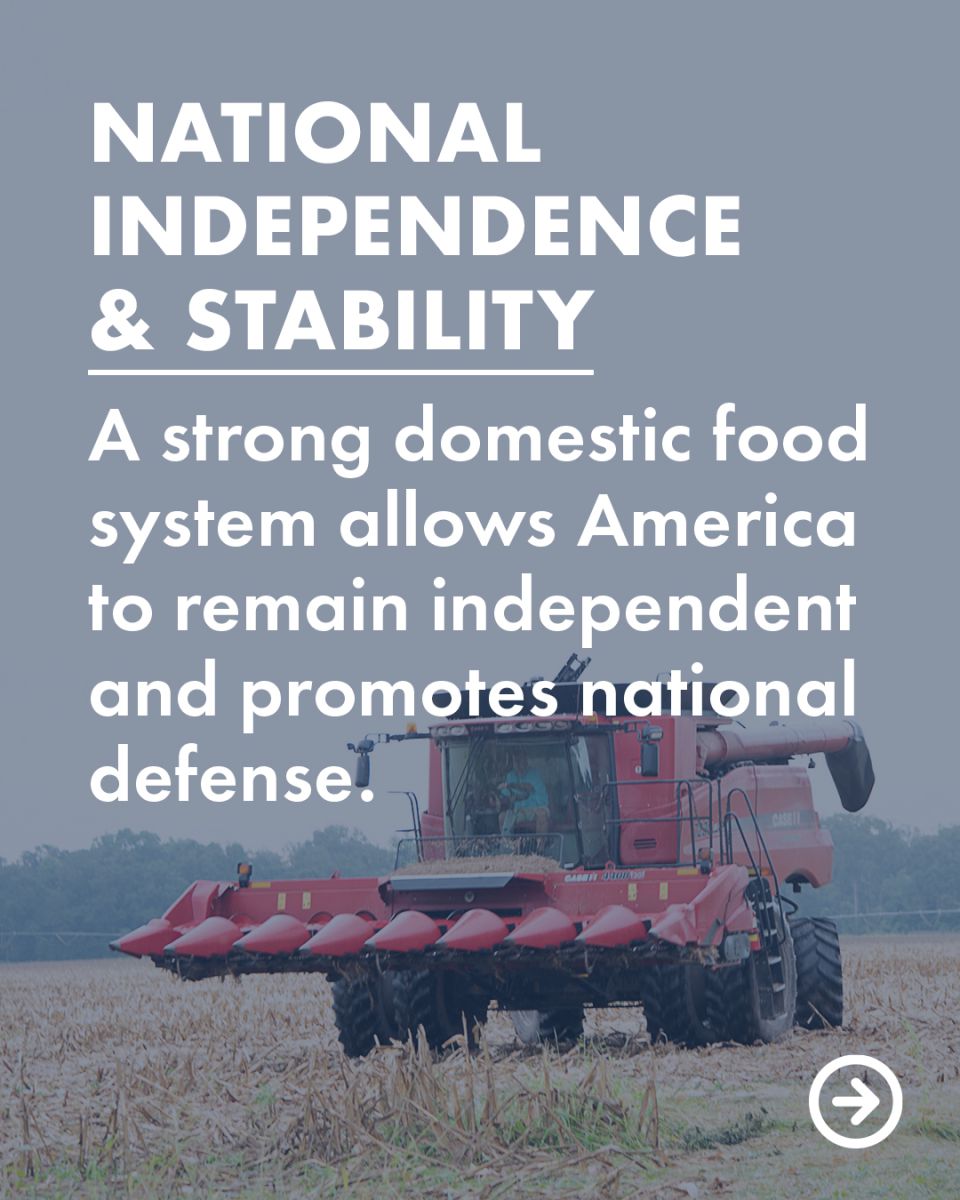 If family farms continue to shrink we could become more dependent on other nations