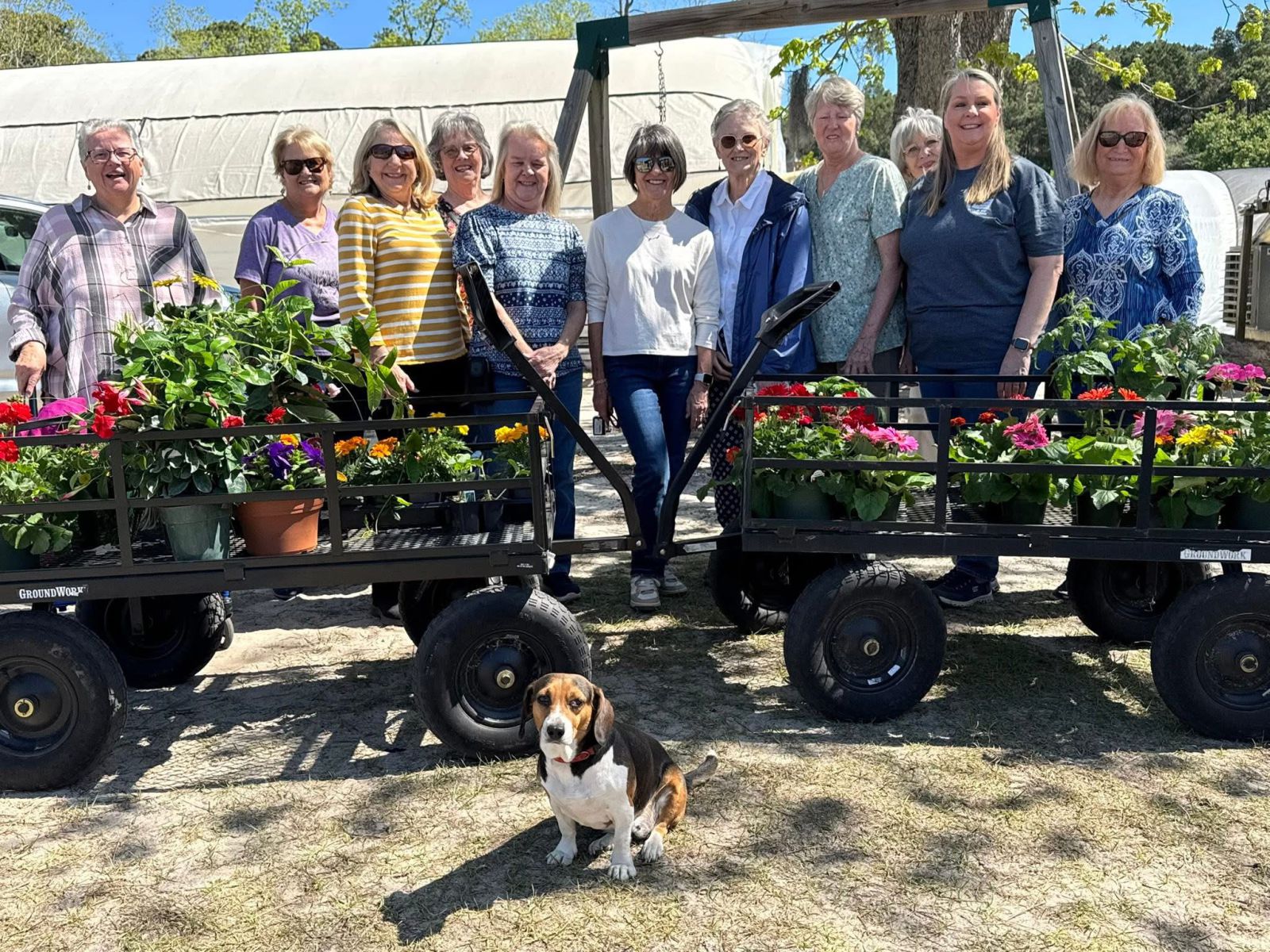 Group of eleven women stand behind two wagons filled with flowers. A cute beagle dog sits in front of the wagons.
