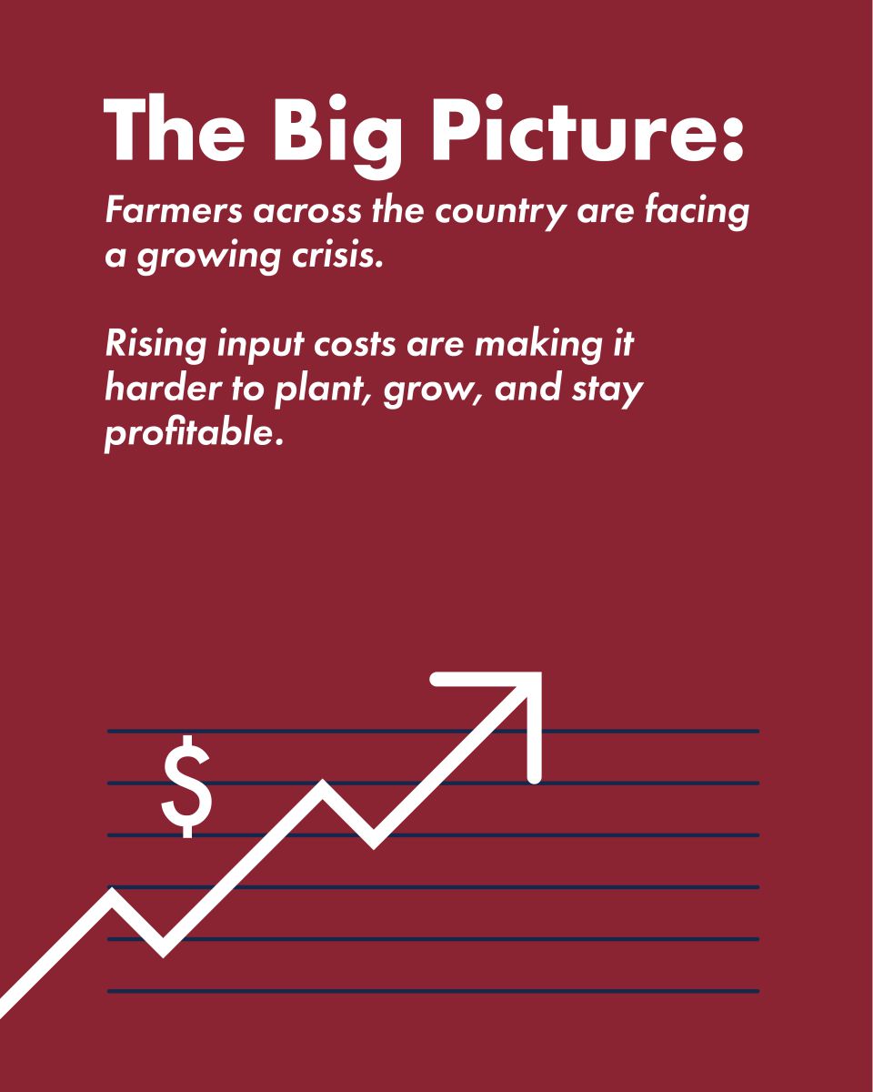 Educational Carousel: The Big Picture