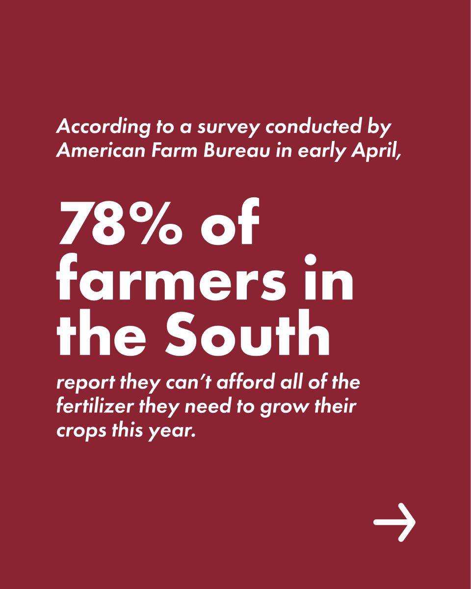 Farm Strong Carousel: 78% of southern farmers cant afford fertilizer