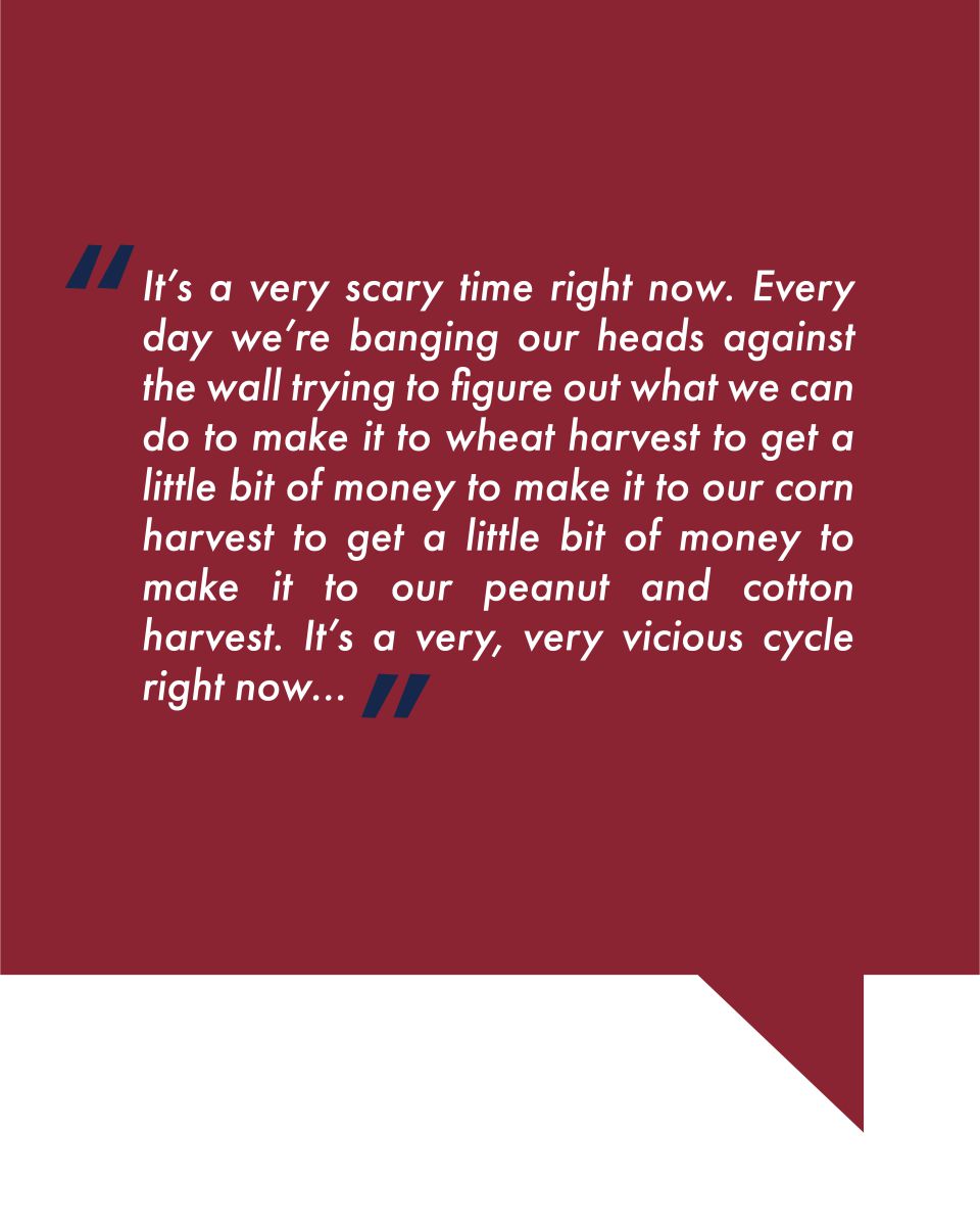 Farm Strong Carousel: Julie Hardy Quote 2