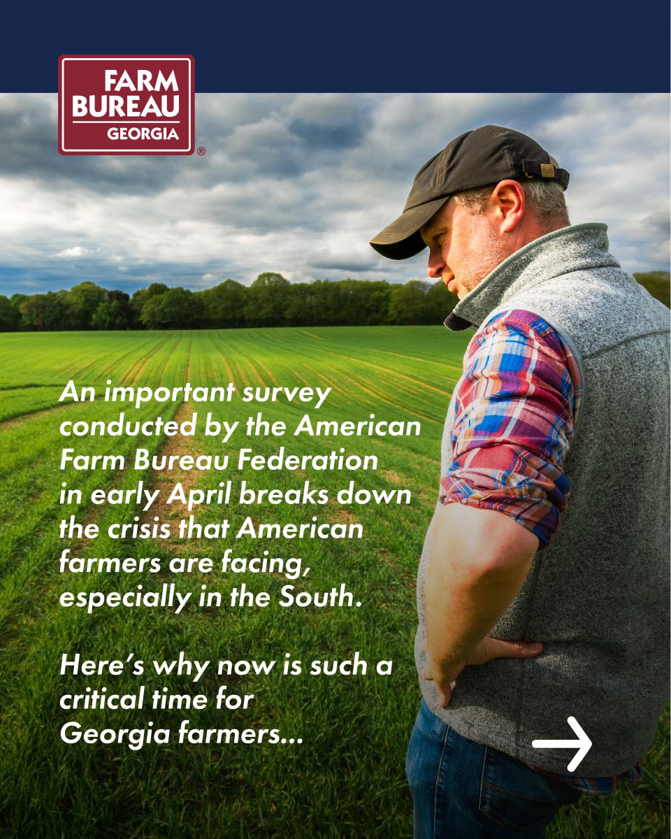 Strong Farms Carousel: Why this is a critical time for Georgia farmers