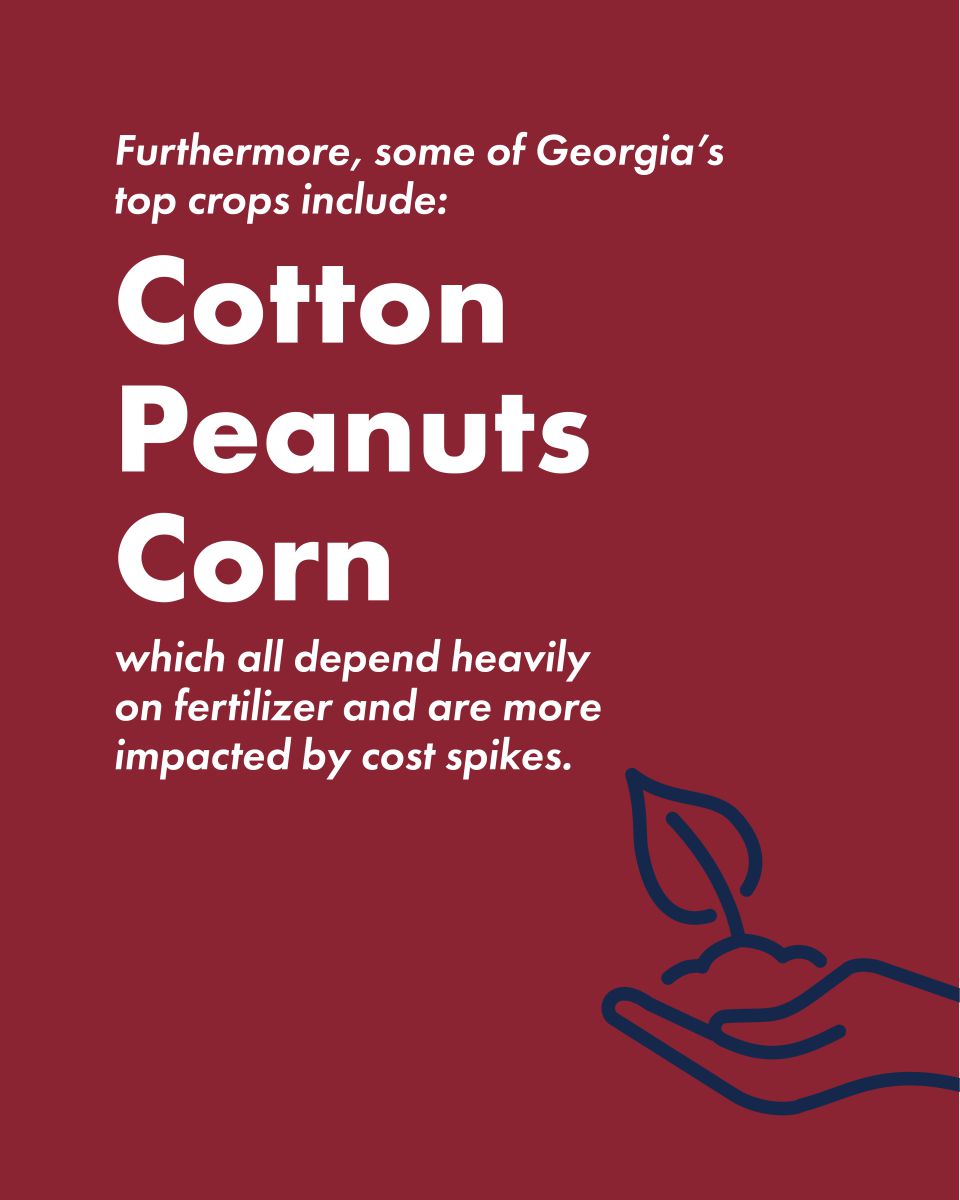 Educational carousel on Strong Farms: Georgia grows cotton peanuts and corn