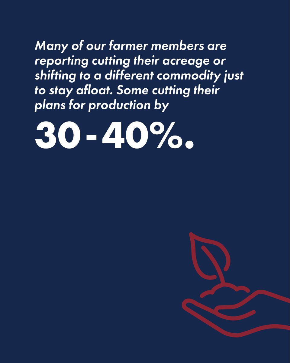 Educational carousel on Strong Farms: farmers are cutting acreage