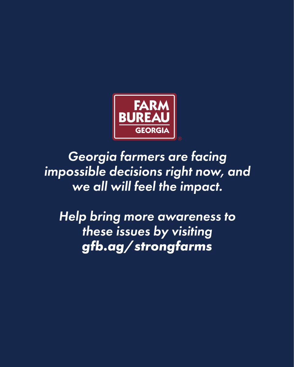 Educational carousel on Strong Farms: Support GA Farmers