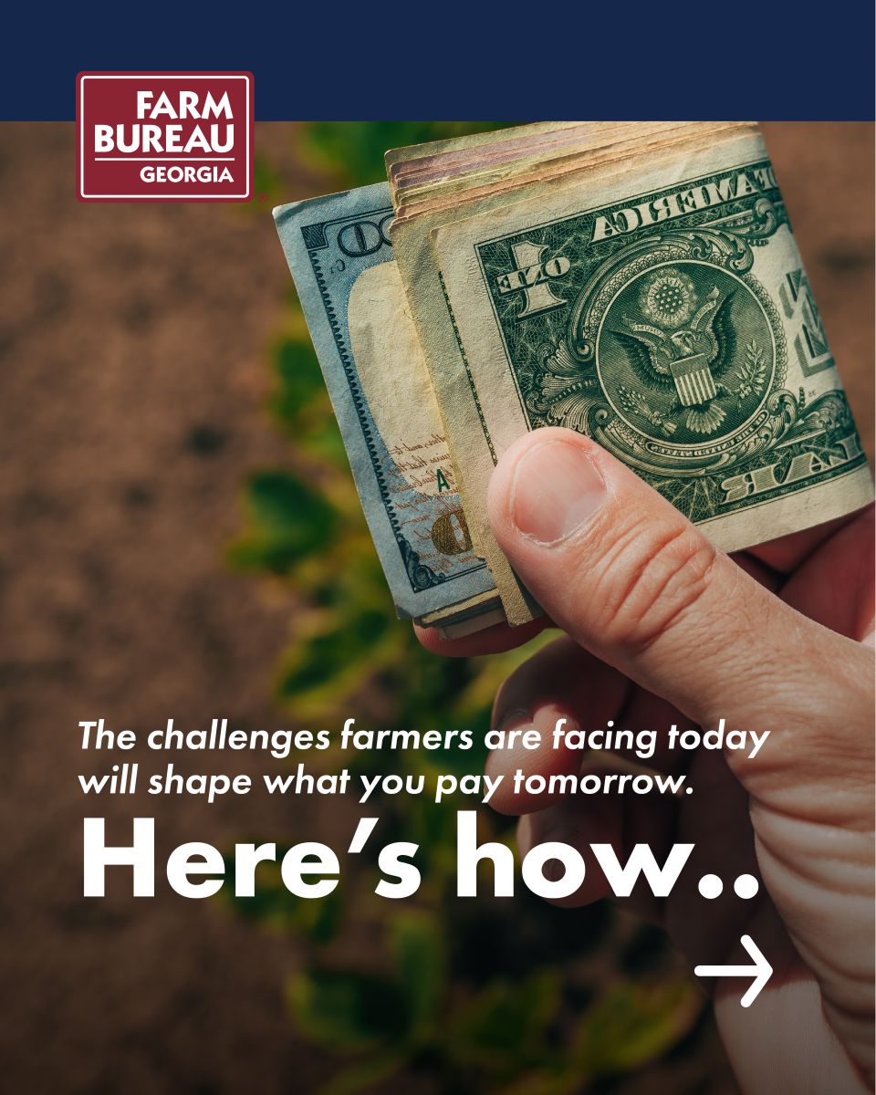 Strong Farms Educational Carousel: Impact on Consumers