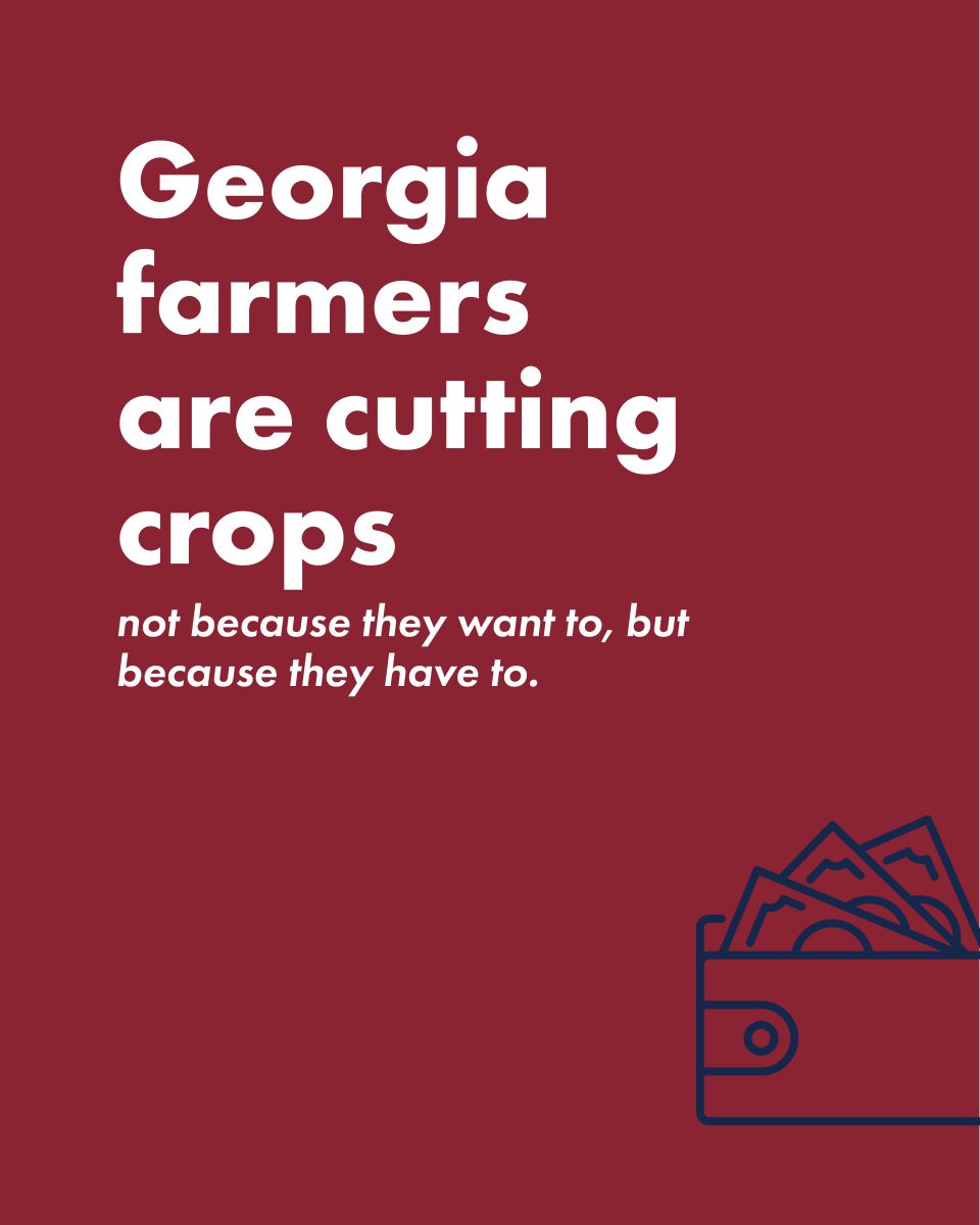 Strong Farms Educational Carousel: GA Farms are cutting crops