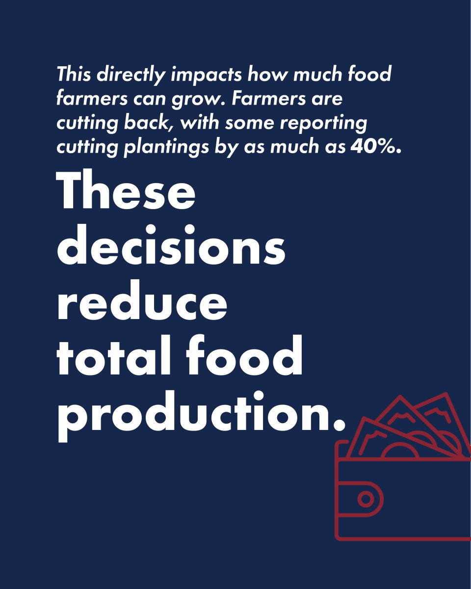 Strong Farms Educational Carousel: Decisions farmers are having to make will reduce total food production