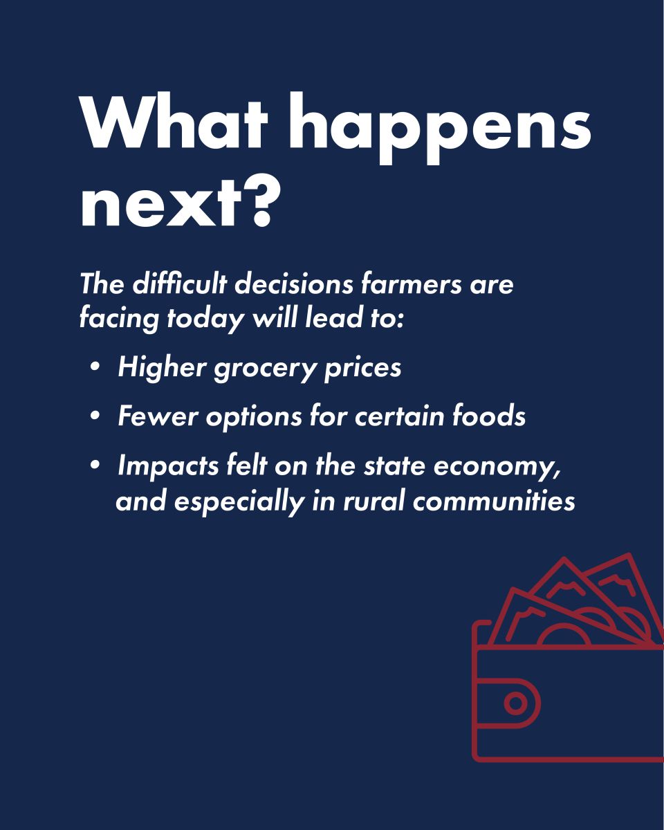 Strong Farms Educational Carousel: What happens next?