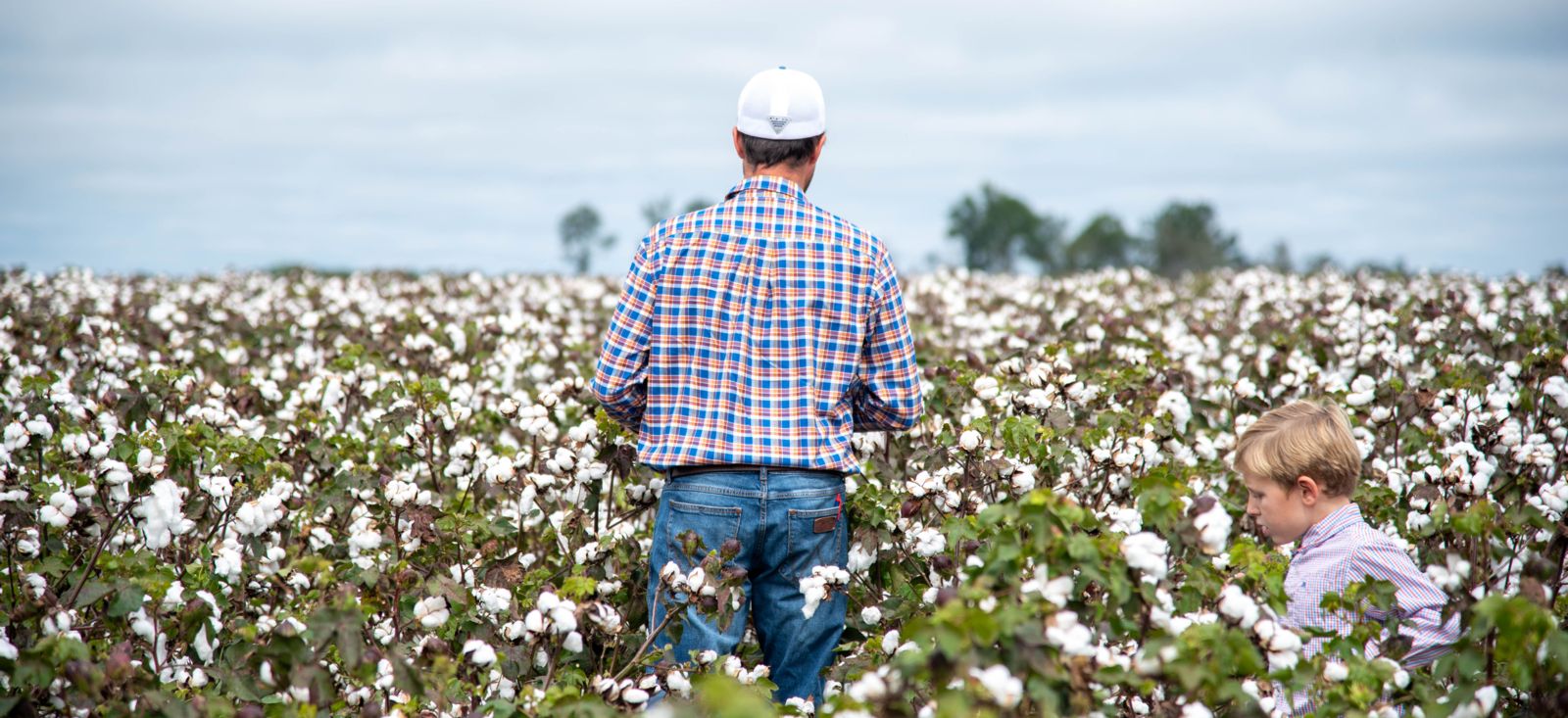 Father and Son in Cotton Field - I Farm I Vote