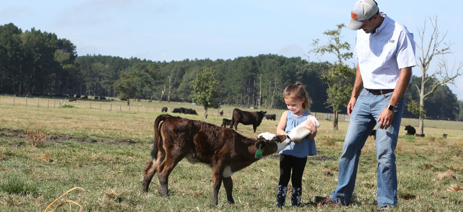 Father and Daughter with Cattle - I Farm I Vote