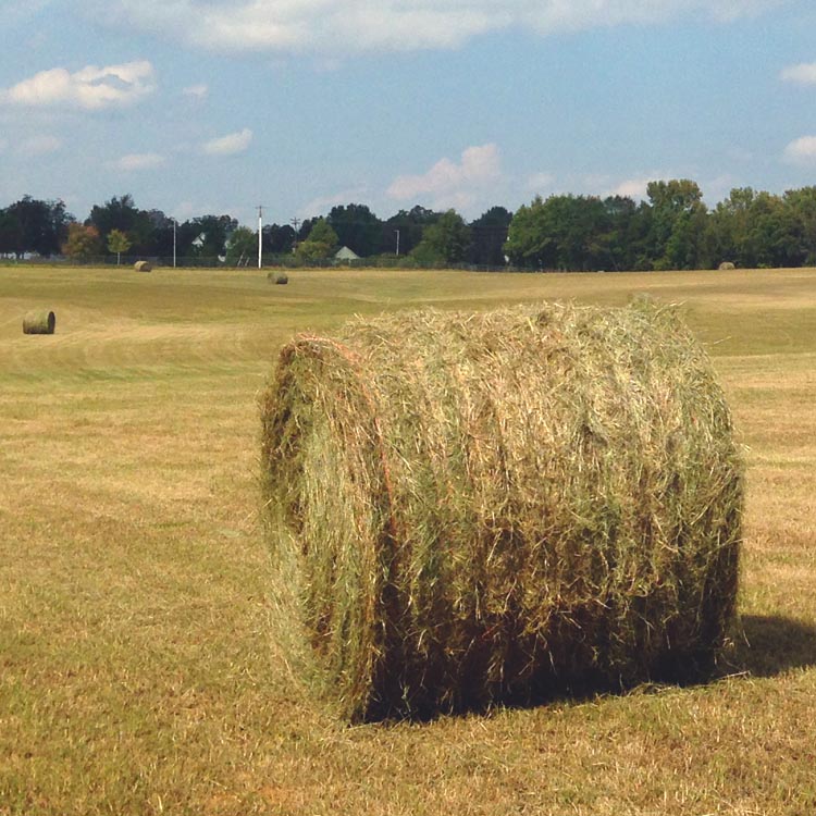 Hay bale