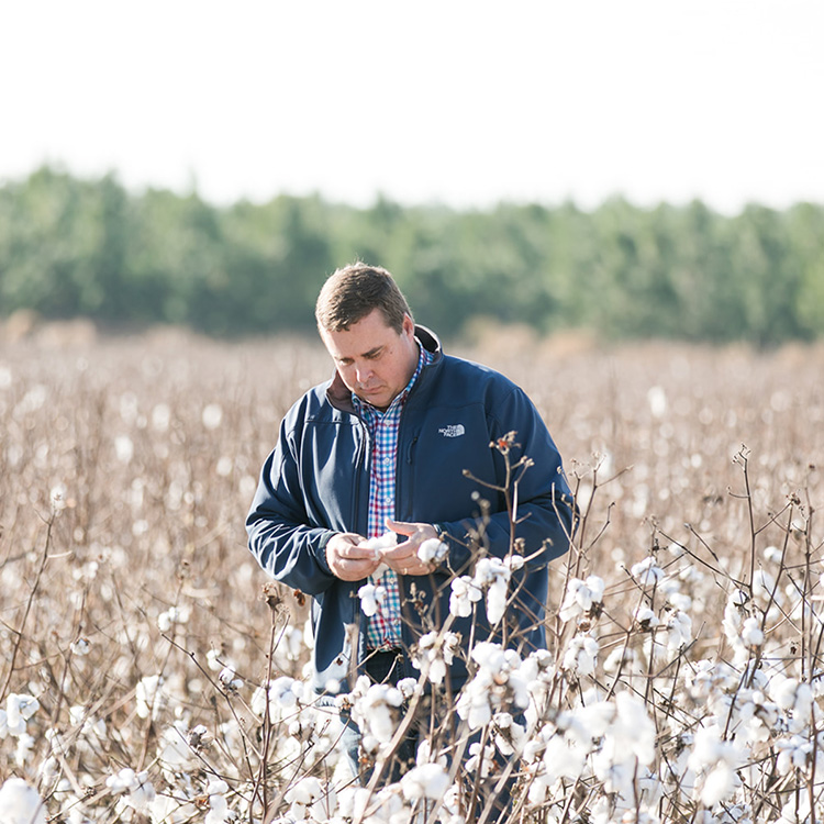 Crop Health